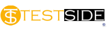 RCSI di Roberto Canestri - Partner realizzazione Siti Web TestSide